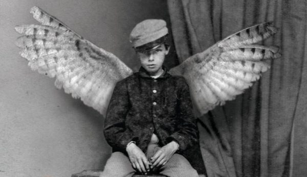 Young boy with feathered wings.