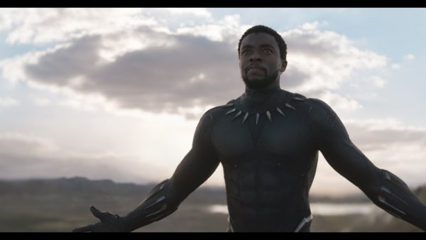 Black Panther stands against a cloudy sky.