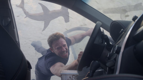 Man in car with shark outside window.