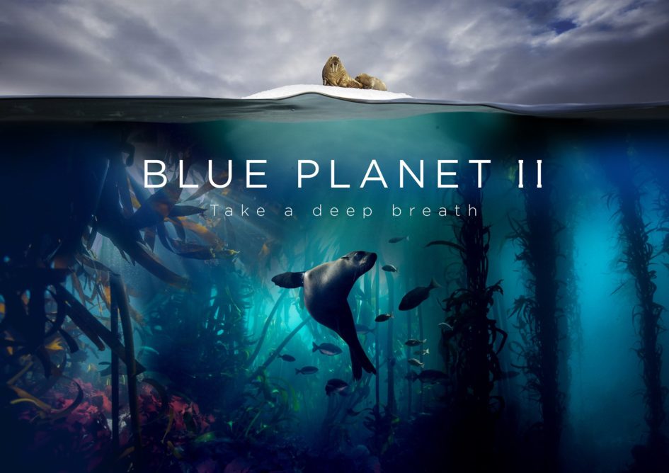 Blue Planet II poster with a seal underwater.