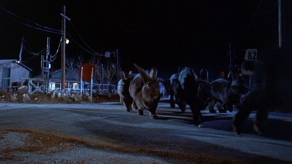 Night of the Lepus